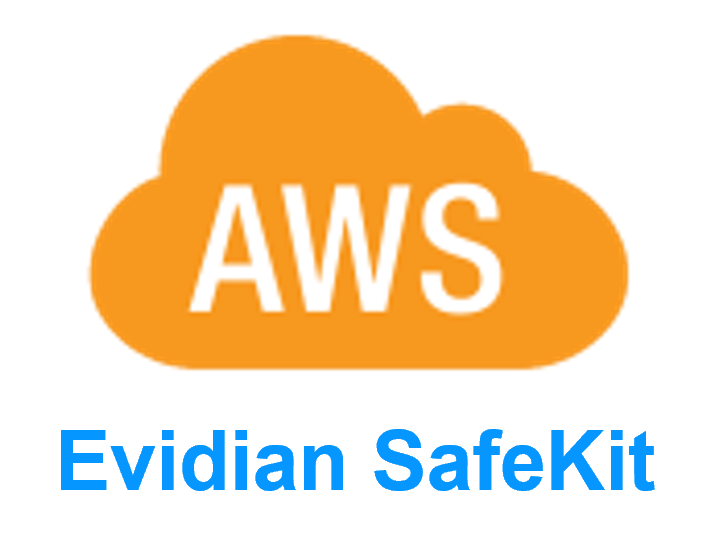 Evidian SafeKit in the Amazon AWS Cloud